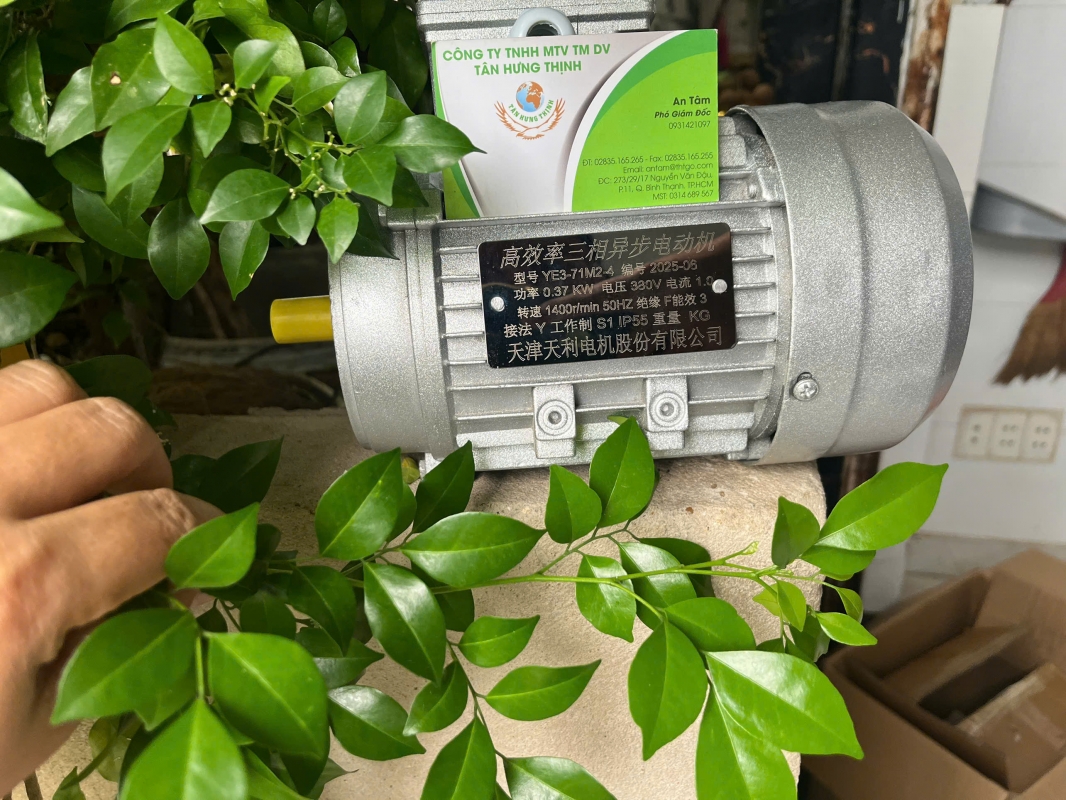 DALI MOTOR  YE3-71M2-4