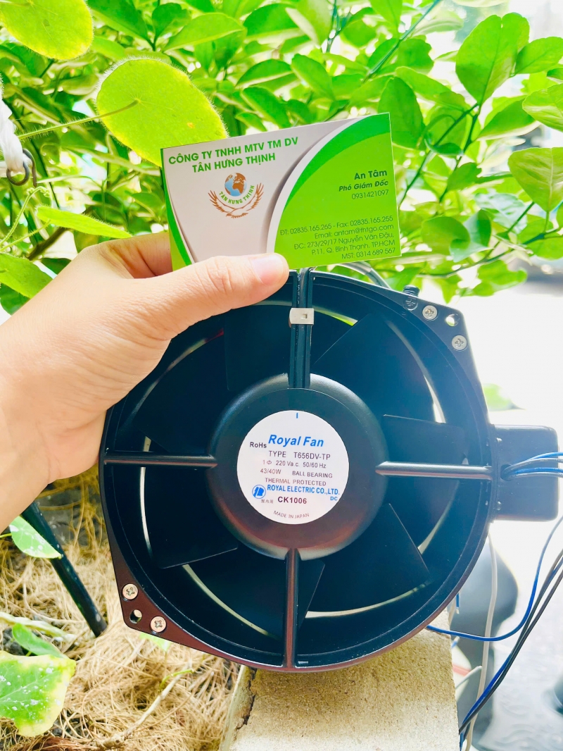 ROYAL FAN T656DV-TP